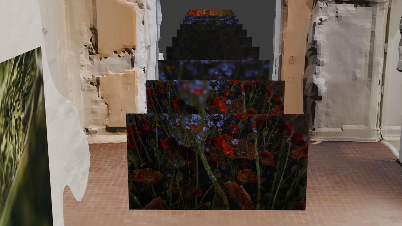 Elsewhere is a negative mirror
